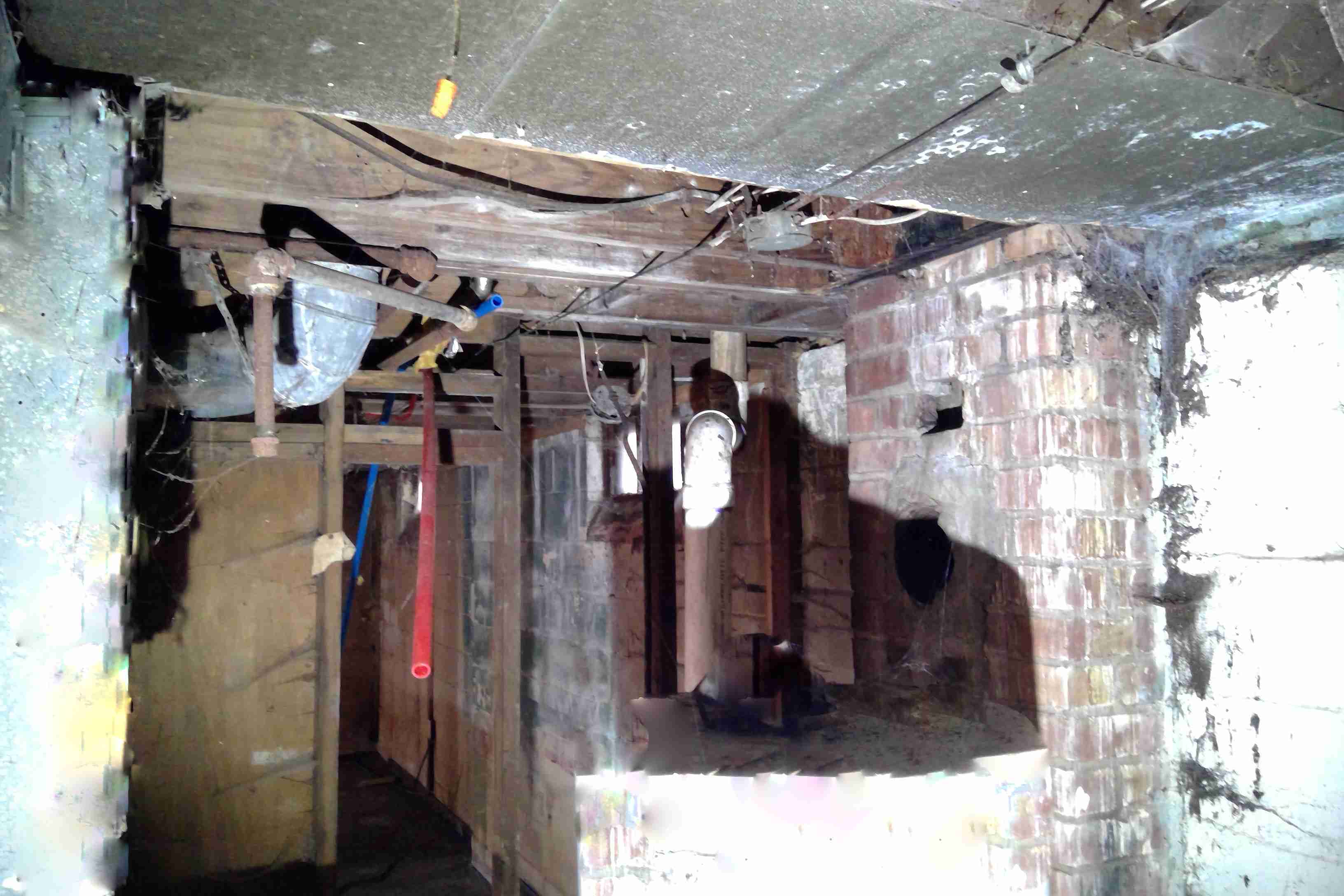 heyden (19)_edited.jpg